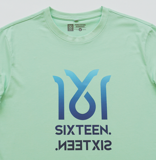 1616 Essential T-Shirt bis 5XL (unisex)