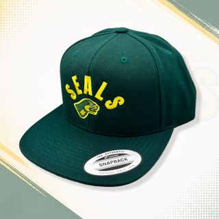 NFS Flat-Cap, klassische Kappe aus Stoff mit Schirm, modischer Herren- oder Damenmütze, auf dem Kopf getragen, frontal sichtbar